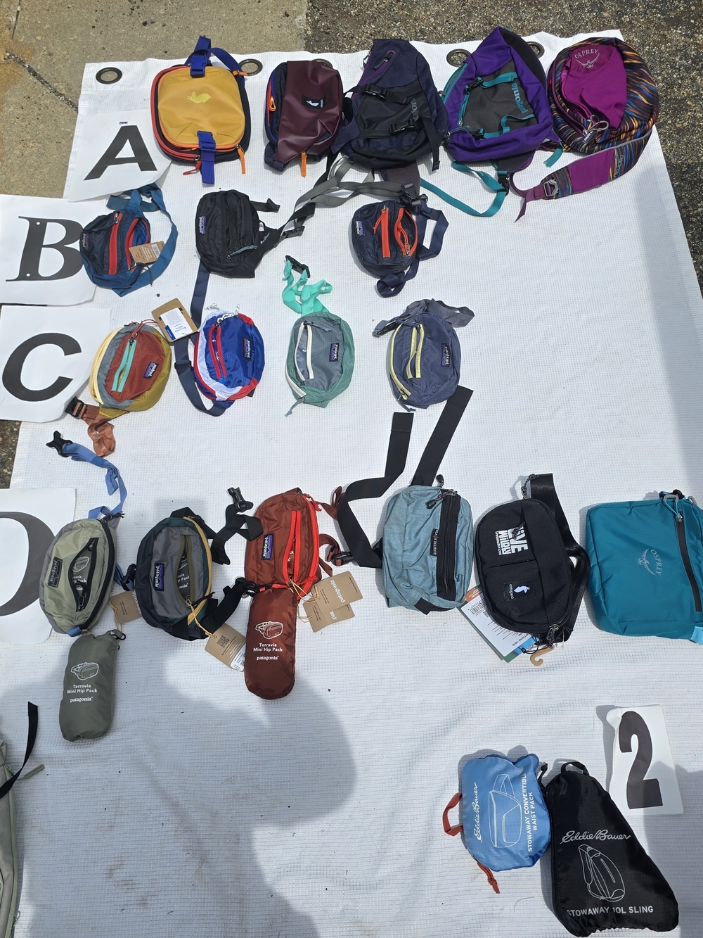 Assorted Small Sling Bags and Packs - Multicolor Mix